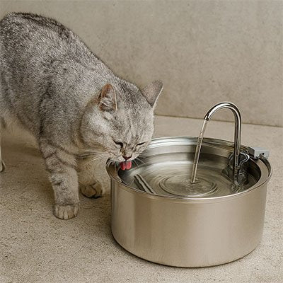 Fontaine a eau chat anti dérapent