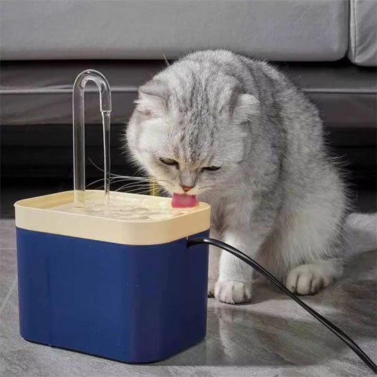 Fontaine eau chat design compacte et résistant