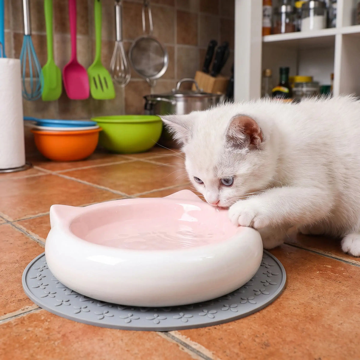 gamelle en ceramique pour chat utilisée par un chaton blanc