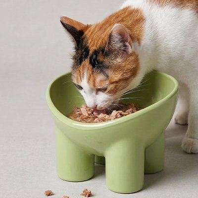 Gamelle surélevée chat vert Olive utiliser par un chat