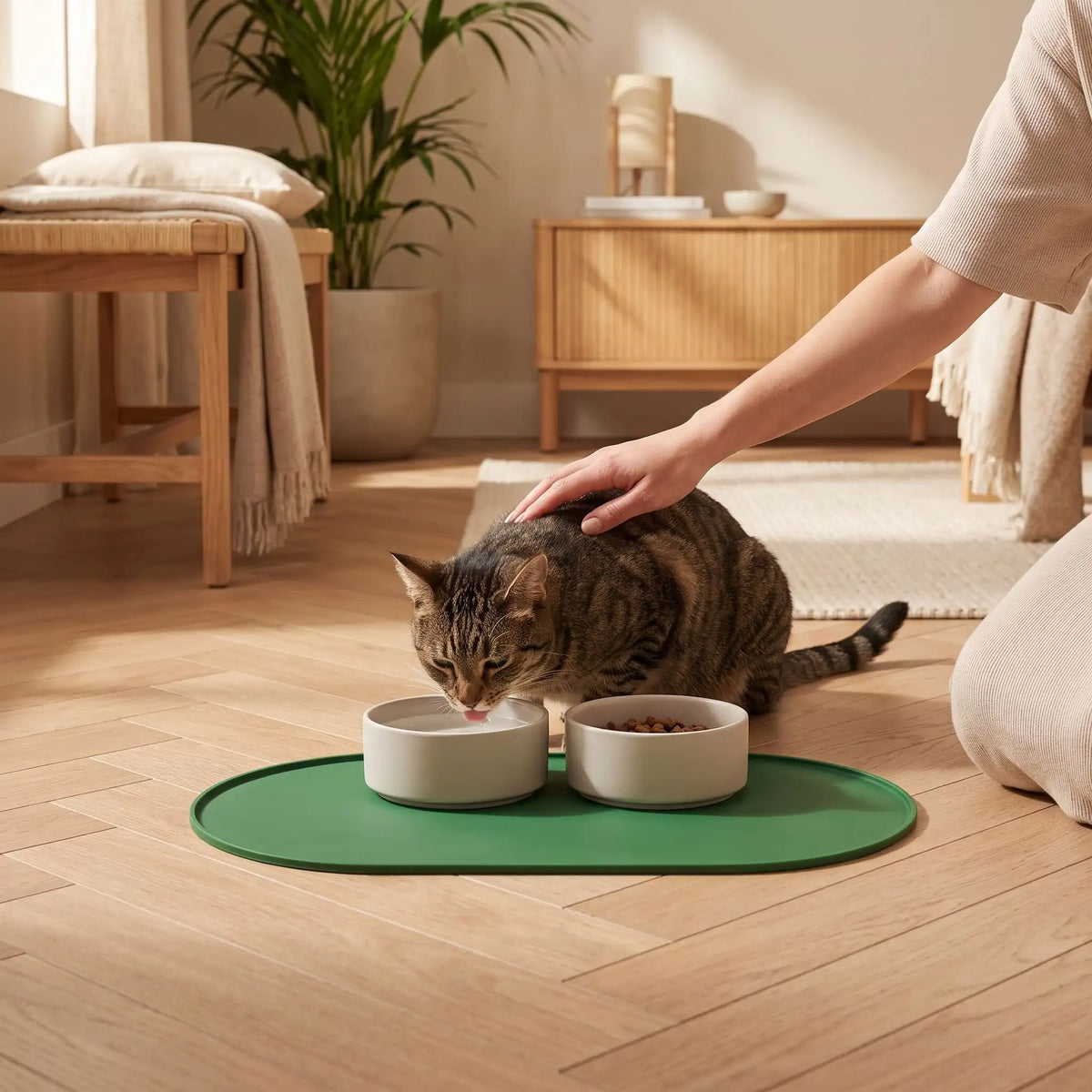 Tapis gamelle chat vert avec chat tigré mangeant dedans