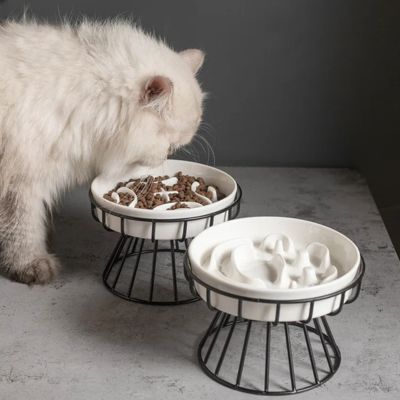 Gamelle anti glouton chat design moderne avec motifs