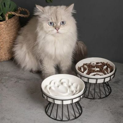 Gamelle anti glouton chat motifs en céramique