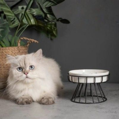 Gamelle anti glouton chat pour un chat en sante digestive