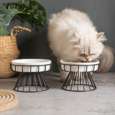 Gamelle anti glouton chat surélevée pour une bonne posture digestive
