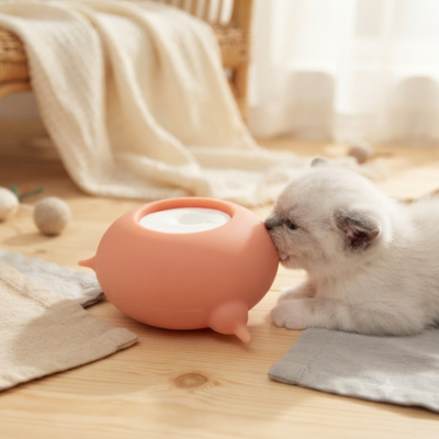biberon chaton qui est utiliser par chaton blanc oreilles grise