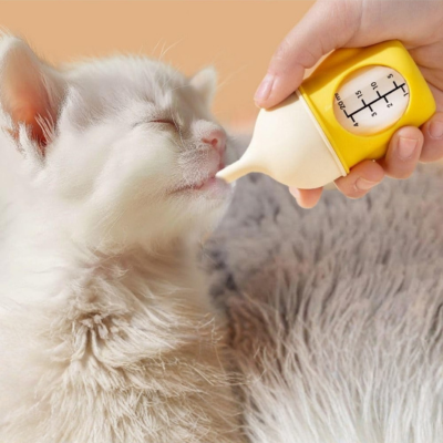 biberon chaton utiliser par chaton blanc