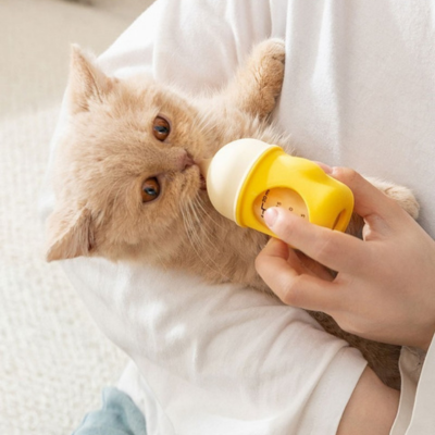 biberon chaton utiliser pour nourrir chaton beige