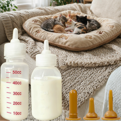 biberon pour chaton rempli de lait sur canapé avec chatons