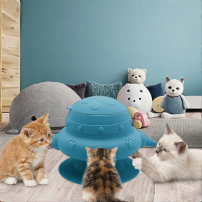 biberon pour chatons jouet bleu utilisé dans salon