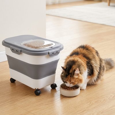 Boite à croquettes Chat qui mange dans la gamelle