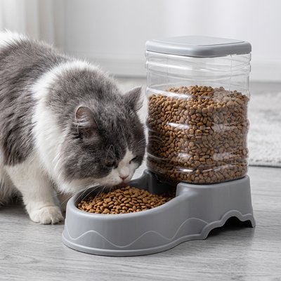 Distributeur croquette chat automatique utilisé par un chat gris mangeant