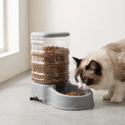 Distributeur croquette chat automatique utilisé par un chat Ragdoll blanc