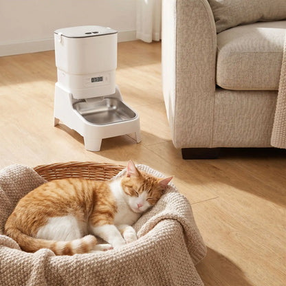 distributeur croquette chat design près du panier