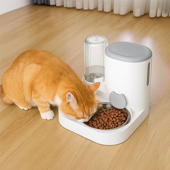 Distributeur croquettes chat​ automatique avec Couvercle hermétique