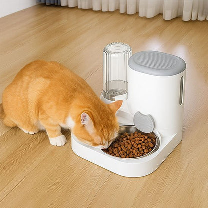 Distributeur croquettes chat​ automatique avec Couvercle hermétique