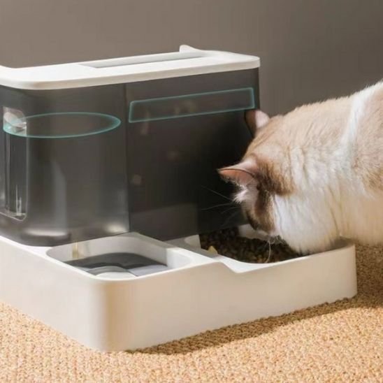 distributeur croquettes chat automatique avec une Grande capacité