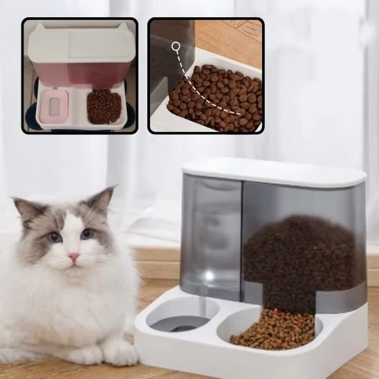 distributeur croquettes chat automatique pour Fonctionnement sans électricité