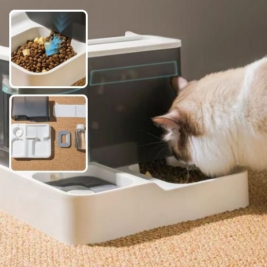 distributeur croquettes chat automatique pour Utilisation intérieure et extérieure
