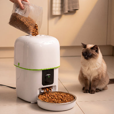 Distributeur croquettes chat automatique rempli devant un chat siamois