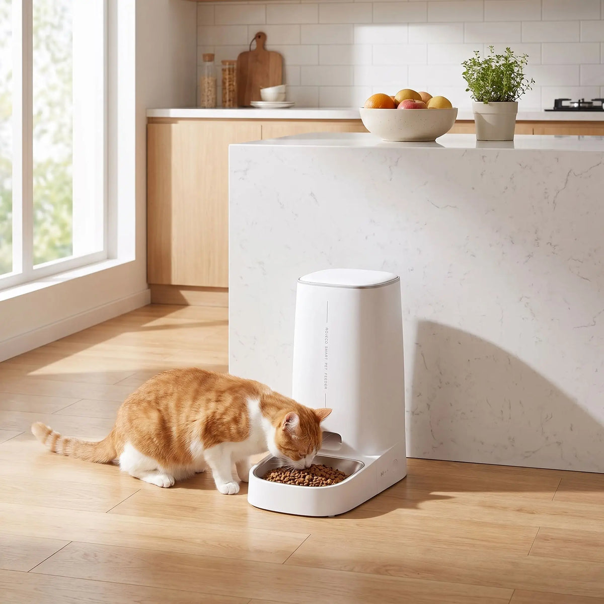 distributeur de croquettes pour chat automatique utilisé par un chat dans cuisine lumineuse