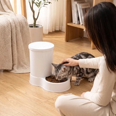 Distributeur de croquettes pour Chat blanc caressé pendant qu'il mange