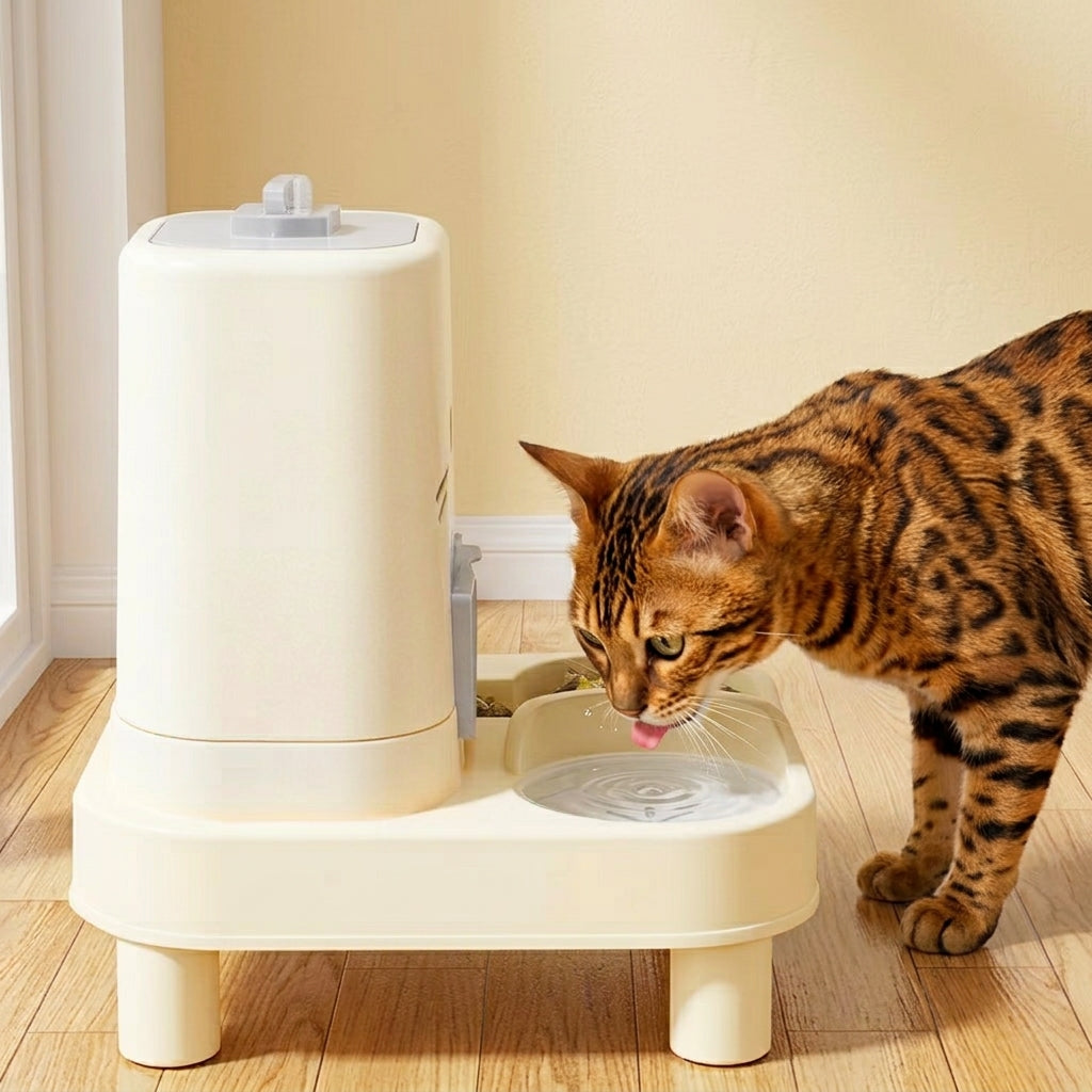 Distributeur eau et croquettes pour chat Bengal qui boit