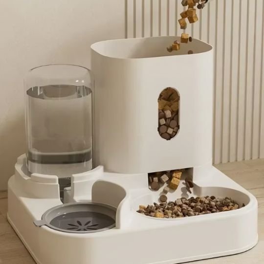 Distributeur eau et croquettes pour chat remplis de nourriture