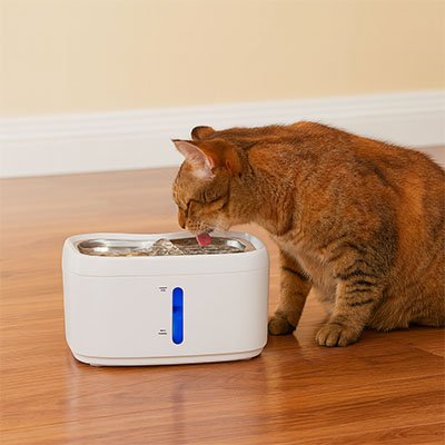 Fontaine à eau Chat pour chats toutes tailles