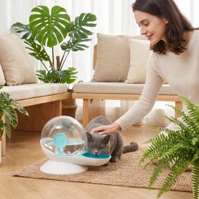 fontaine à eau chat sans électricité utilisée au salon