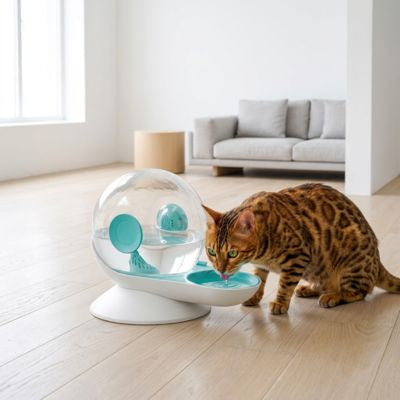 fontaine à eau chat sans électricité utilisée par chat au salon