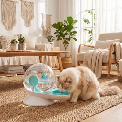 fontaine à eau chat sans électricité utilisée par un chat au salon