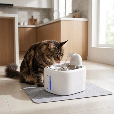 Fontaine à eau chat sans fil utilisée par chat tigré en cuisine