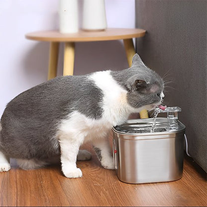 Fontaine a eau pour chat Améliore le goût