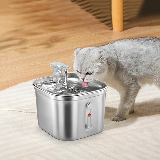 Fontaine a eau pour chat avec détection automatique présence