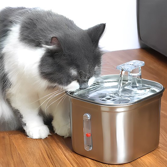 Fontaine a eau pour chat Compatible lave-vaisselle