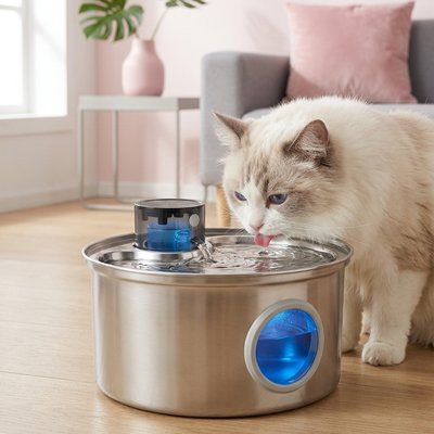 fontaine à eau pour chat en inox avec chat qui boit