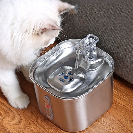 Fontaine a eau pour chat Finition chromée élégant