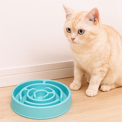 Gamelle anti glouton chat adulte et chaton