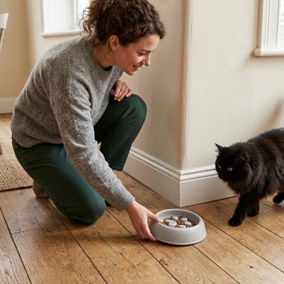 Gamelle anti-glouton Chat antidérapant de toutes les surfaces
