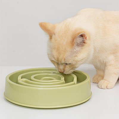 Gamelle anti glouton chat de toutes couleurs