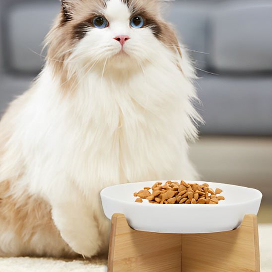 gamelle anti glouton chat en céramique avec une surface lisse