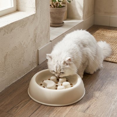 Gamelle anti-glouton Chat pour éveillé la réflexion du chat