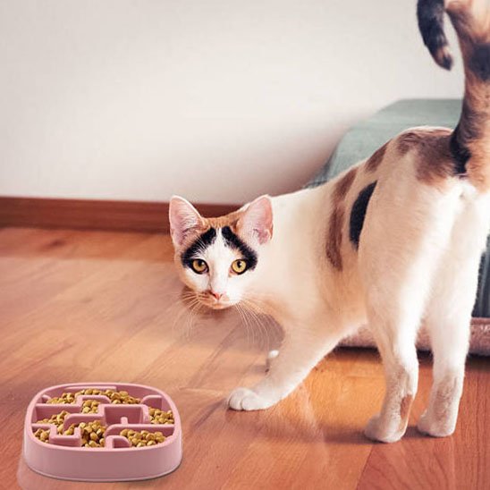 Gamelle anti-glouton chat pour manger lentement