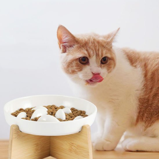gamelle anti glouton chat pour une bonne digestion