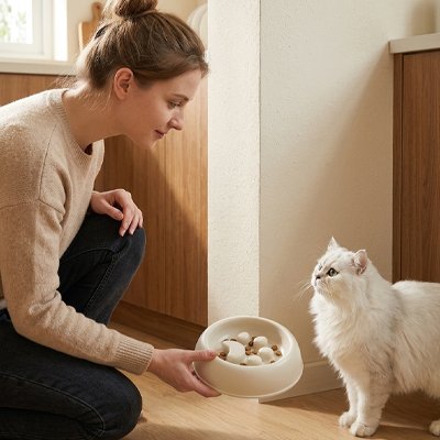 Gamelle anti-glouton Chat pour une bonne quantité de nourriture
