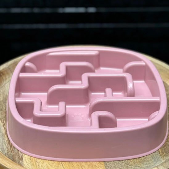 Gamelle anti-glouton chat qui est beau et ludique