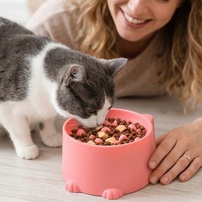 Gamelle anti-glouton chat qui est utilisé par chat blanc et noir avec maîtresse 