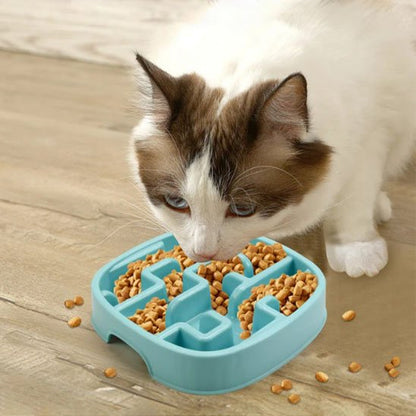 Gamelle anti-glouton chat qui fait réfléchir votre chat