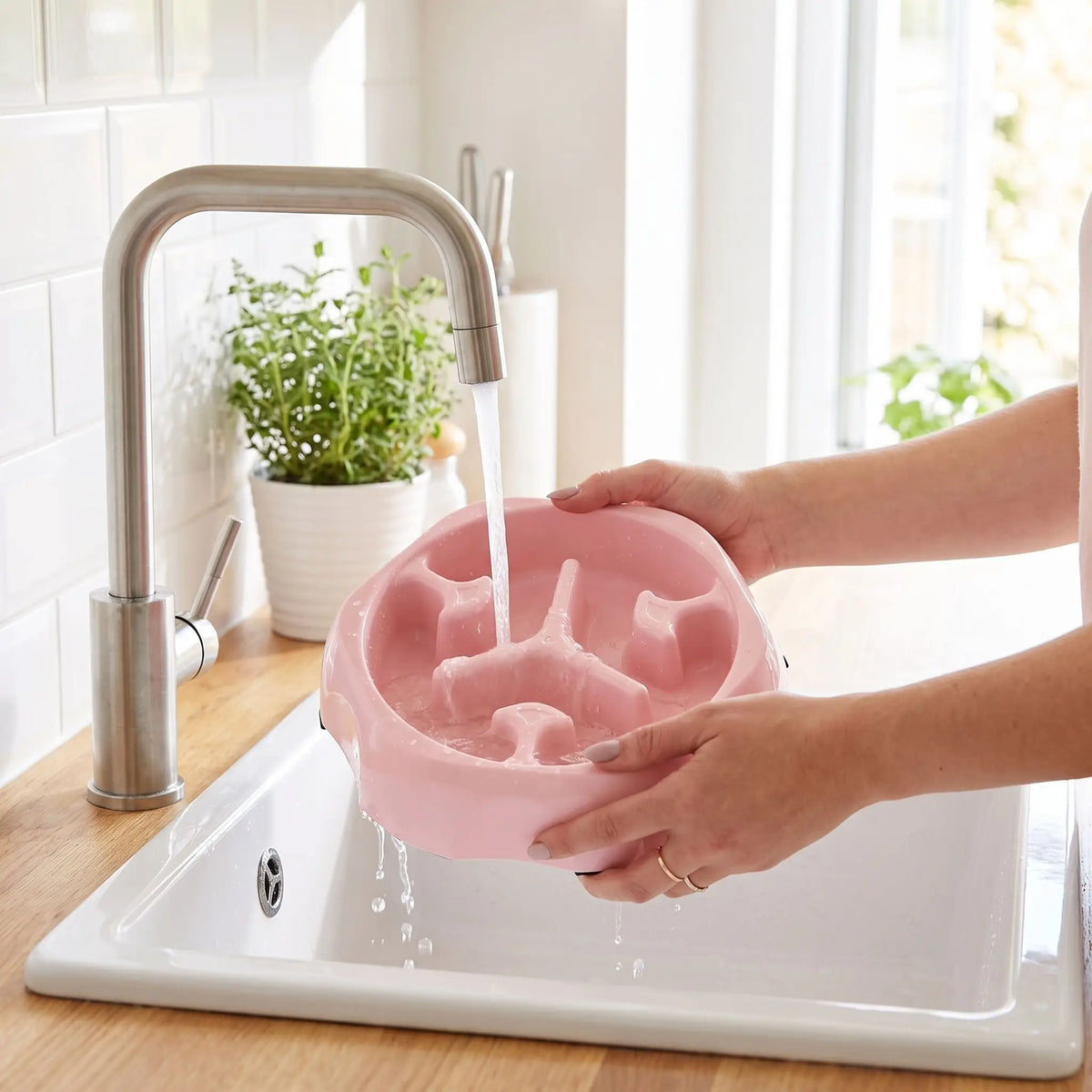 Gamelle anti glouton chat rose rincée sous un robinet